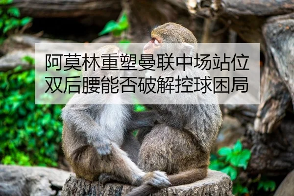 阿莫林重塑曼联中场站位 双后腰能否破解控球困局