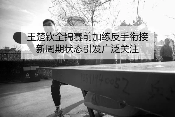 王楚钦全锦赛前加练反手衔接 新周期状态引发广泛关注