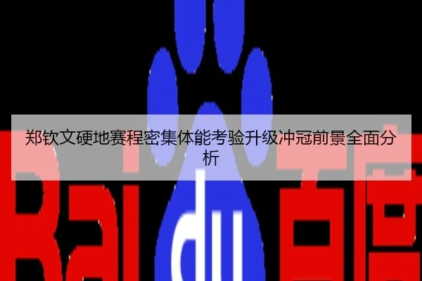 郑钦文硬地赛程密集体能考验升级冲冠前景全面分析
